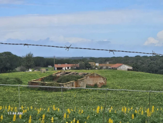 Terreno para Venda em Sines Foto 34