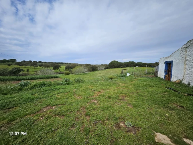 Terreno para Venda em Sines Foto 37