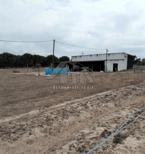 Moradia T3 para Venda em Pegões