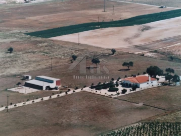 Moradia T3 para Venda em Pegões