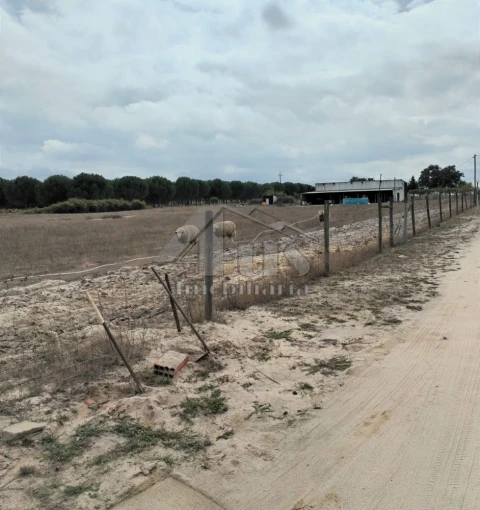 Moradia T3 para Venda em Pegões