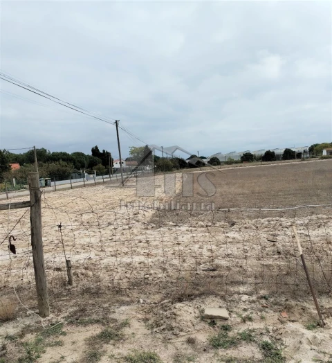 Moradia T3 para Venda em Pegões