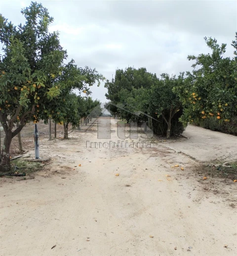 Moradia T3 para Venda em Pegões