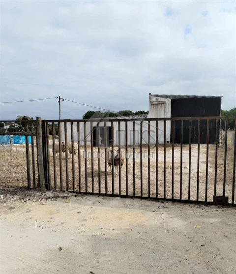 Moradia T3 para Venda em Pegões