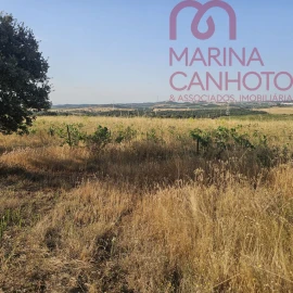 Terreno para Venda em Orada