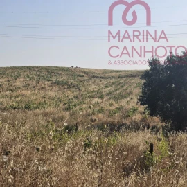 Terreno para Venda em Orada