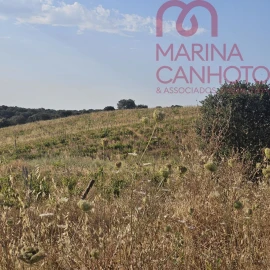 Terreno para Venda em Orada