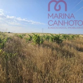 Terreno para Venda em Orada