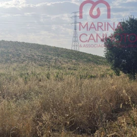 Terreno para Venda em Orada