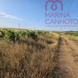 Terreno para Venda em Orada