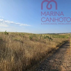 Terreno para Venda em Orada