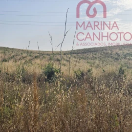 Terreno para Venda em Orada