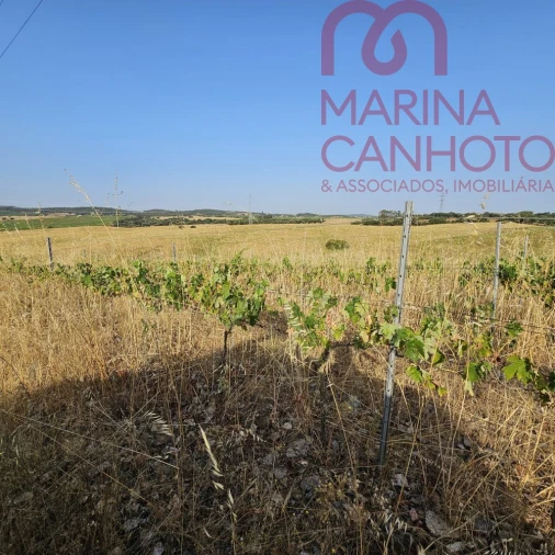 Terreno para Venda em Orada Foto 23