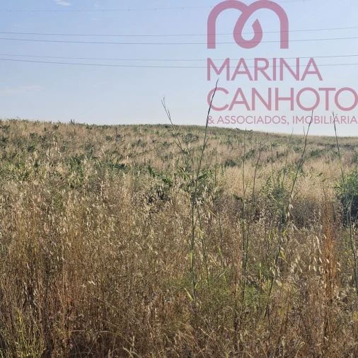 Terreno para Venda em Orada Foto 6