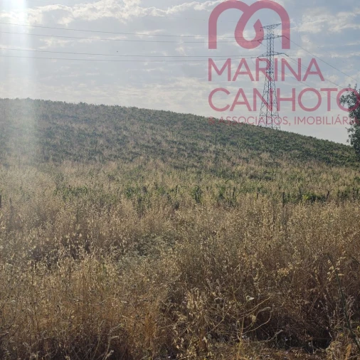 Terreno para Venda em Orada Foto 9