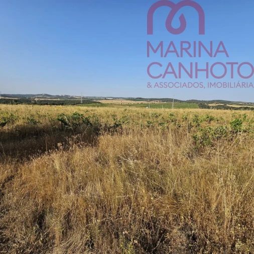 Terreno para Venda em Orada Foto 25