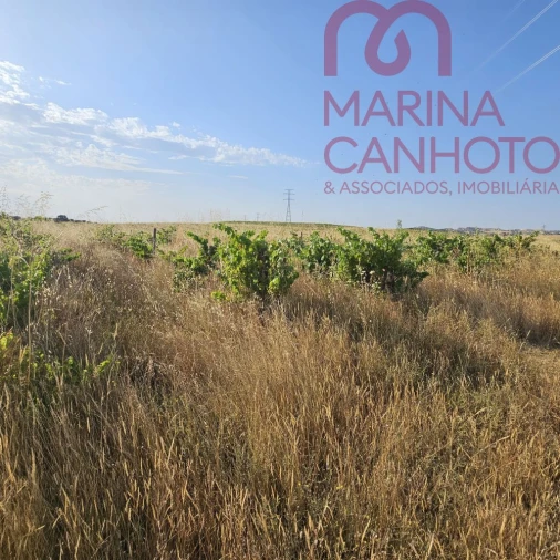 Terreno para Venda em Orada Foto 16