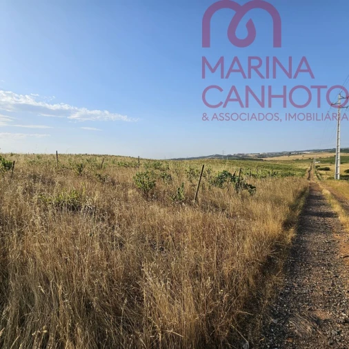 Terreno para Venda em Orada Foto 21