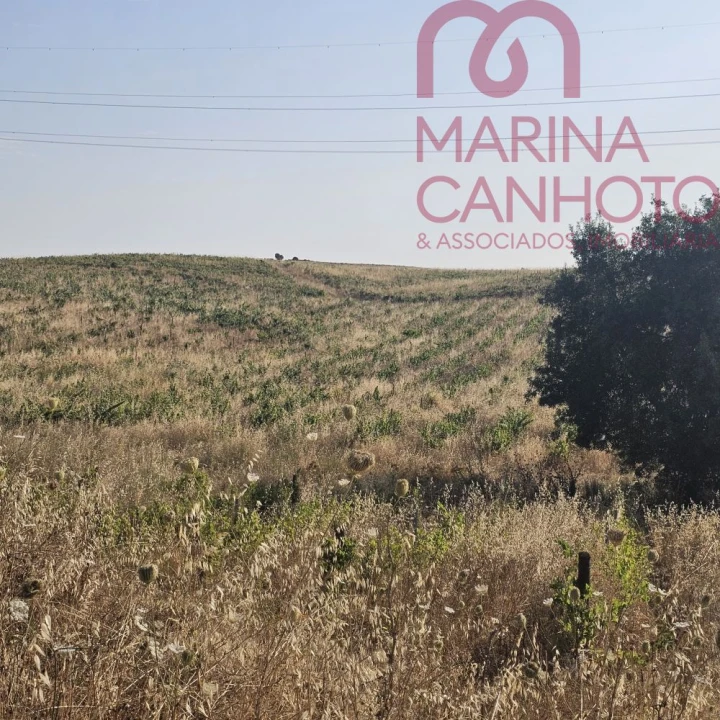 Terreno para Venda em Orada Foto 2