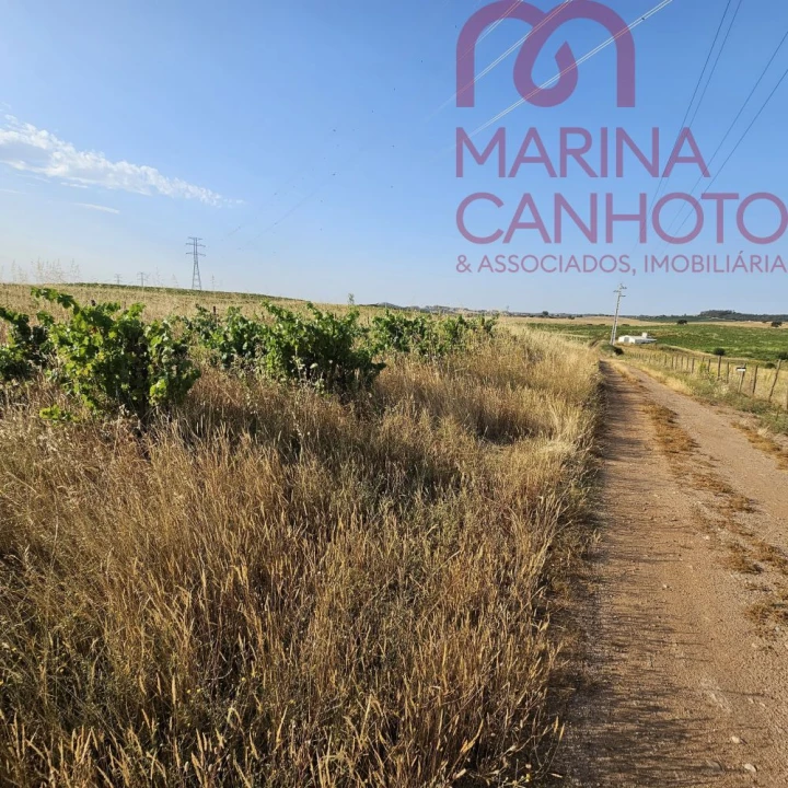 Terreno para Venda em Orada Foto 14