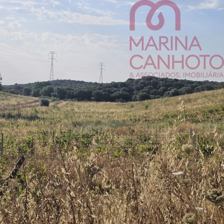 Terreno para Venda em Orada Foto 5