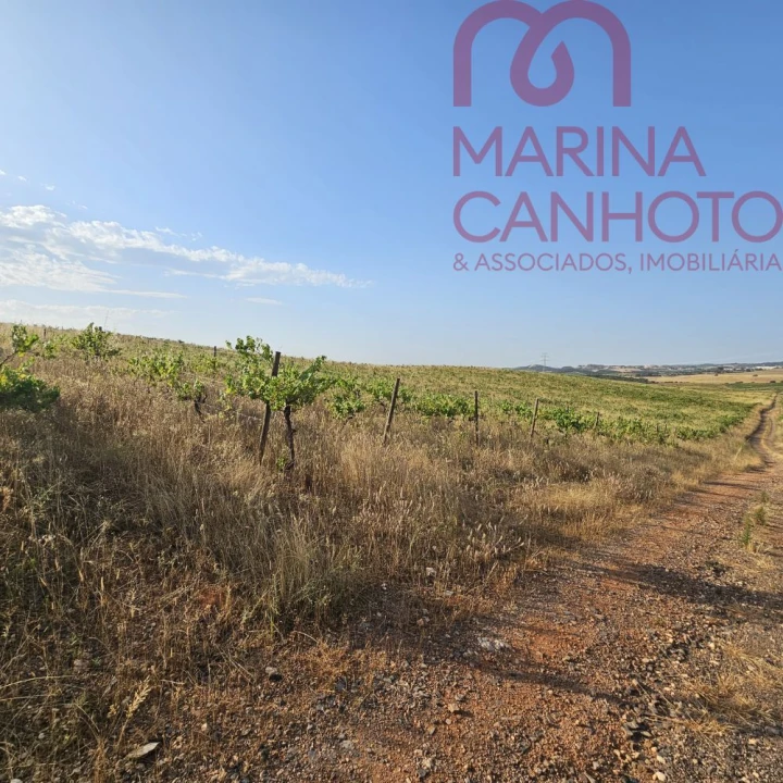 Terreno para Venda em Orada Foto 17