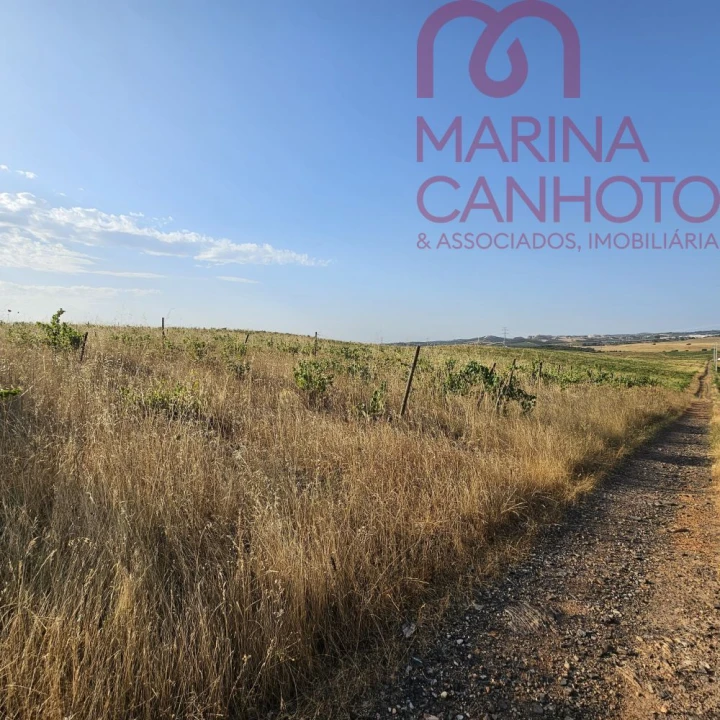 Terreno para Venda em Orada Foto 22