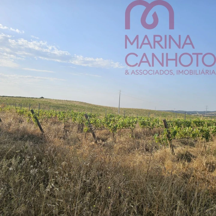 Terreno para Venda em Orada Foto 27