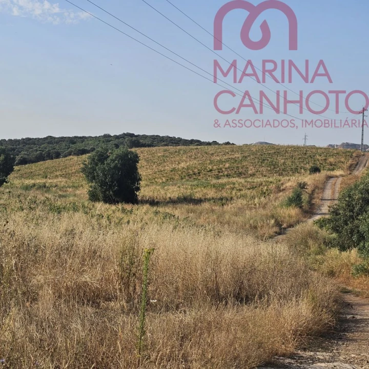 Terreno para Venda em Orada Foto 10