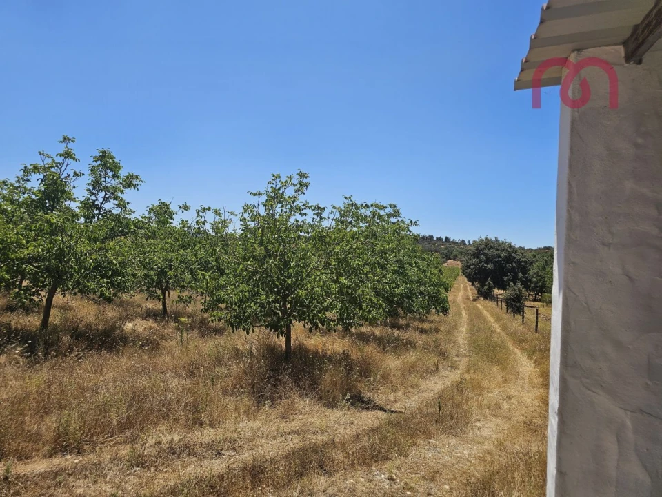 Terreno para Venda em Estremoz (Santa Maria e Santo André) Foto 13
