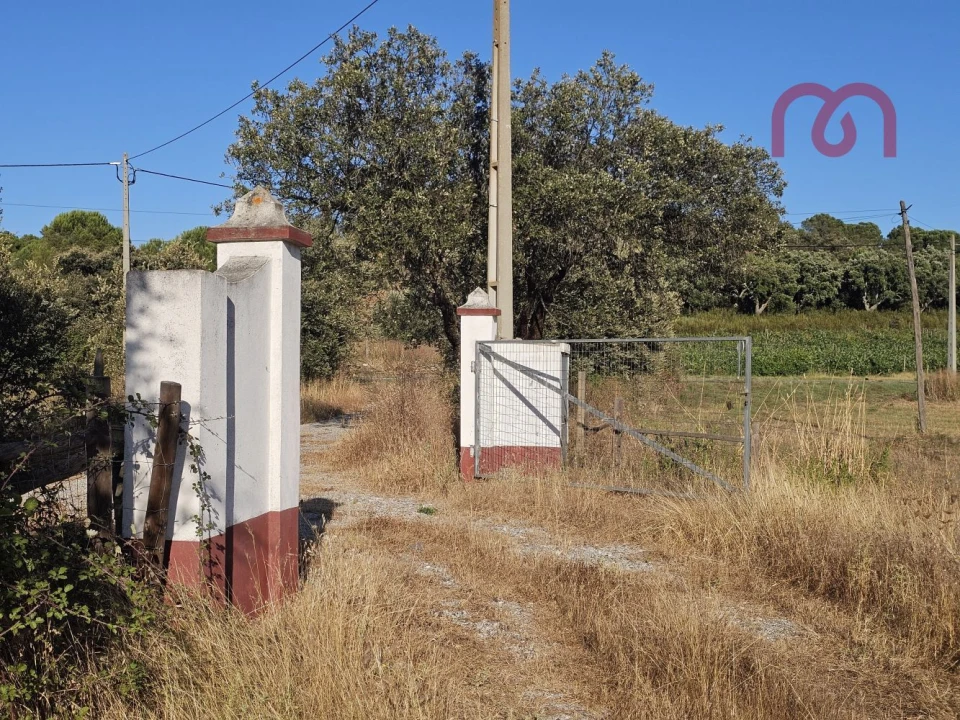 Terreno para Venda em Estremoz (Santa Maria e Santo André) Foto 35