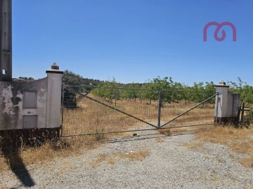 Terreno para Venda em Estremoz (Santa Maria e Santo André)
