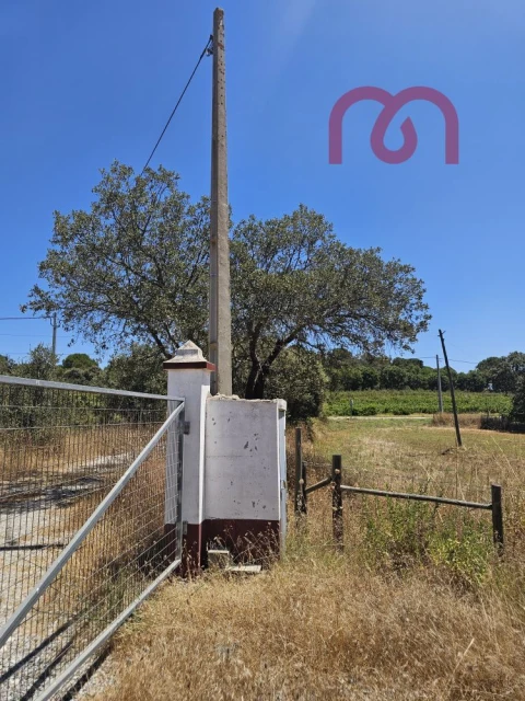 Terreno para Venda em Estremoz (Santa Maria e Santo André)