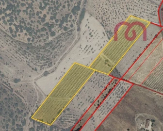 Terreno para Venda em Estremoz (Santa Maria e Santo André)