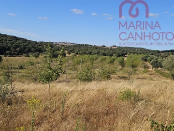 Terreno para Venda em Estremoz (Santa Maria e Santo André)