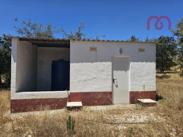 Terreno para Venda em Estremoz (Santa Maria e Santo André)