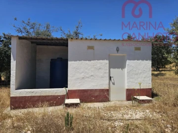 Terreno para Venda em Estremoz (Santa Maria e Santo André)