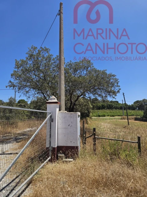 Terreno para Venda em Estremoz (Santa Maria e Santo André)