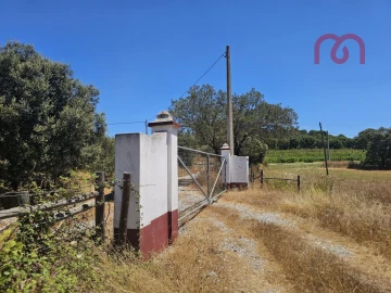 Terreno para Venda em Estremoz (Santa Maria e Santo André)
