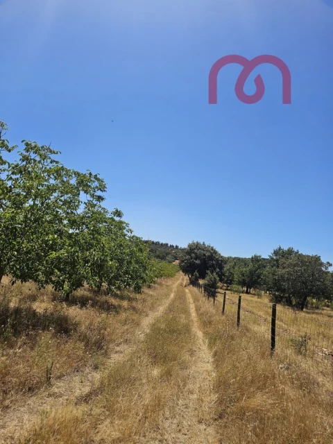 Terreno para Venda em Estremoz (Santa Maria e Santo André)