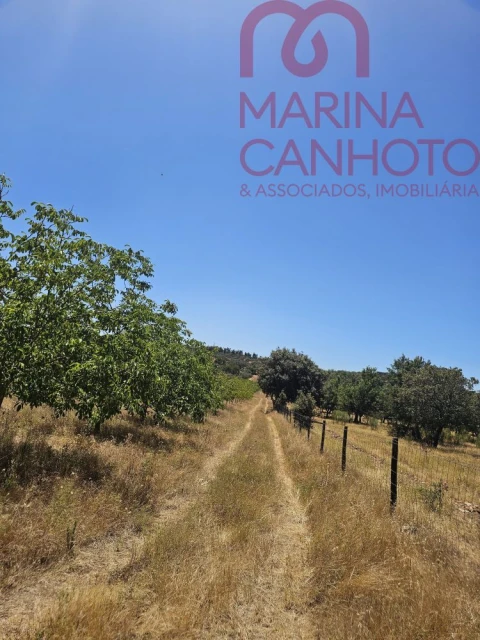 Terreno para Venda em Estremoz (Santa Maria e Santo André)