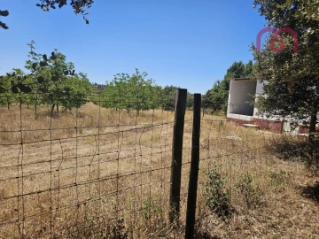 Terreno para Venda em Estremoz (Santa Maria e Santo André)