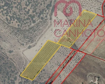 Terreno para Venda em Estremoz (Santa Maria e Santo André)