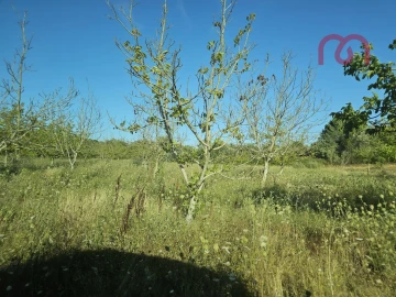 Terreno para Venda em Estremoz (Santa Maria e Santo André)