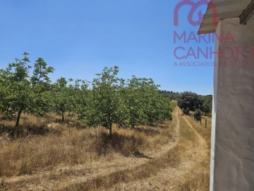 Terreno para Venda em Estremoz (Santa Maria e Santo André)