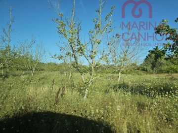 Terreno para Venda em Estremoz (Santa Maria e Santo André)