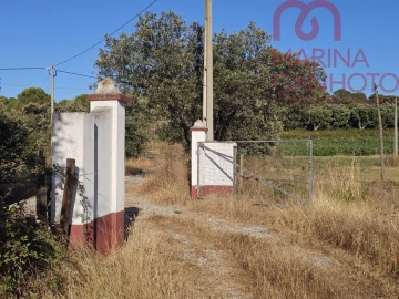 Terreno para Venda em Estremoz (Santa Maria e Santo André)