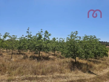 Terreno para Venda em Estremoz (Santa Maria e Santo André)