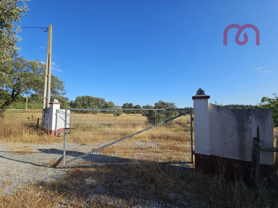 Terreno para Venda em Estremoz (Santa Maria e Santo André) Foto 9