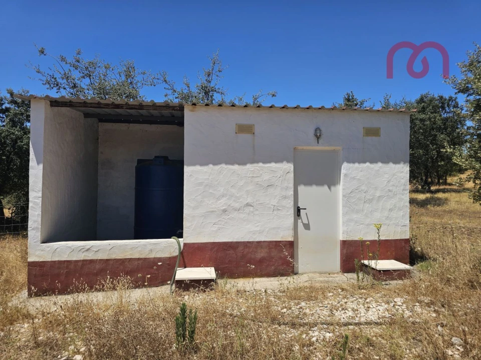 Terreno para Venda em Estremoz (Santa Maria e Santo André) Foto 16